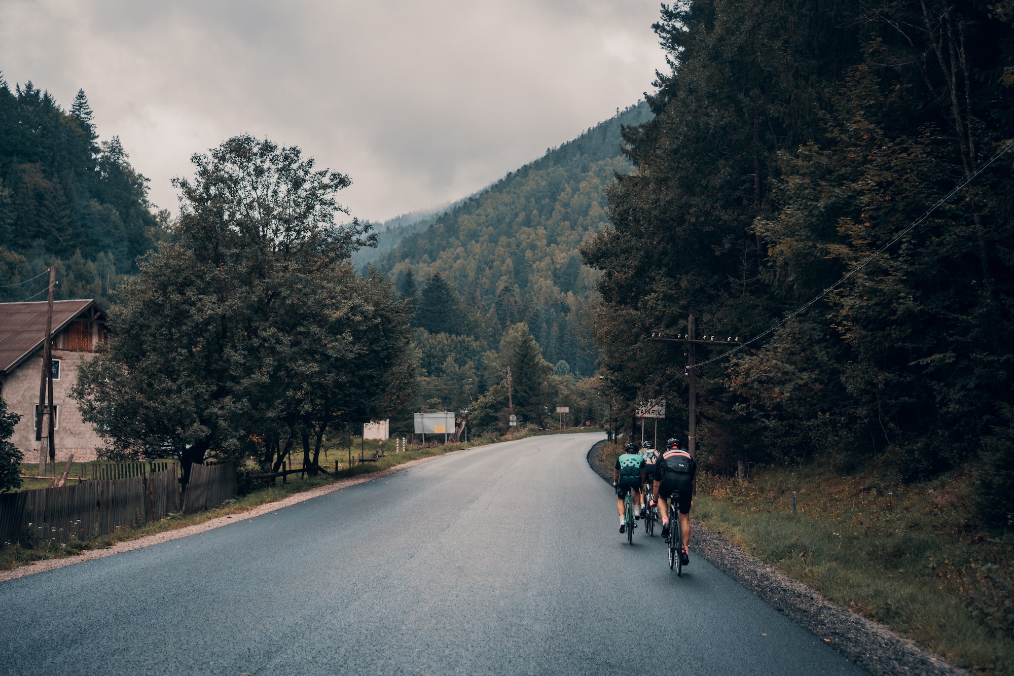 Road cyclists on the road cycling along a forest – Photo by Viktor Bystrov on Unsplash